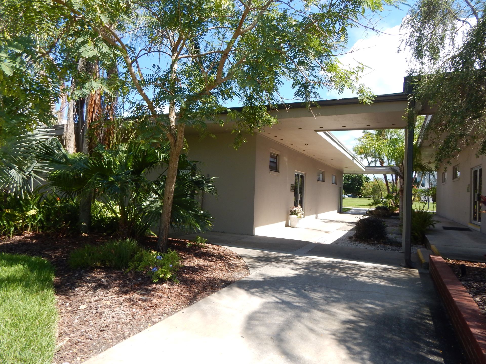 Sunny pathway lined with tropical plants leading to a modern building with a covered walkway